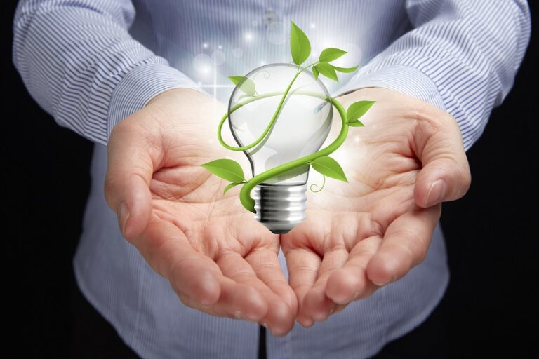 Scopri di più sull'articolo Energie Rinnovabili: Pro e Contro